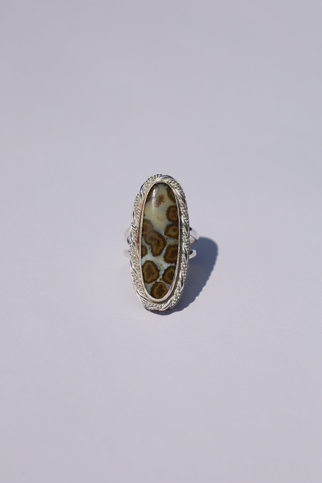 Snakebite Band
