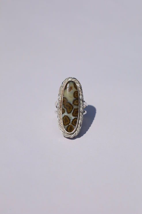 Snakebite Band
