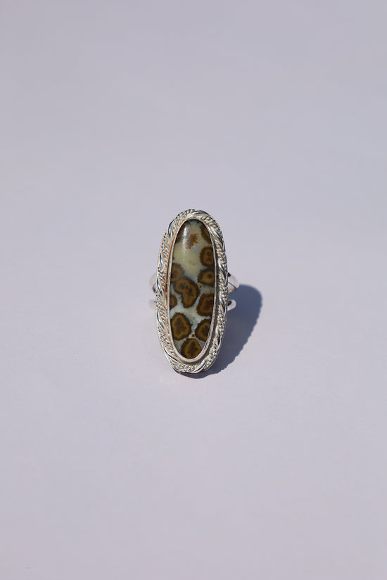 Snakebite Band