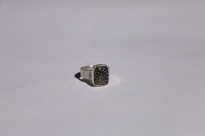 Turtle Tracks Ring
