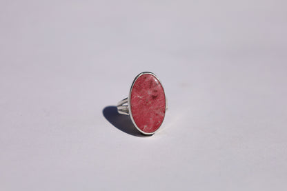 Raspberry Tart Ring