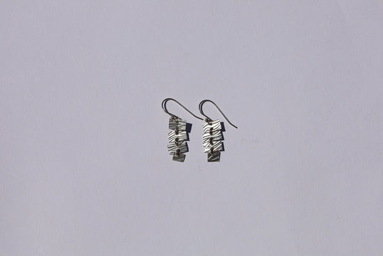 (#13) Slinky Earrings