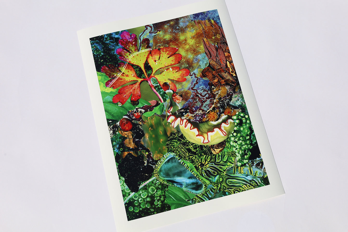 Art Prints