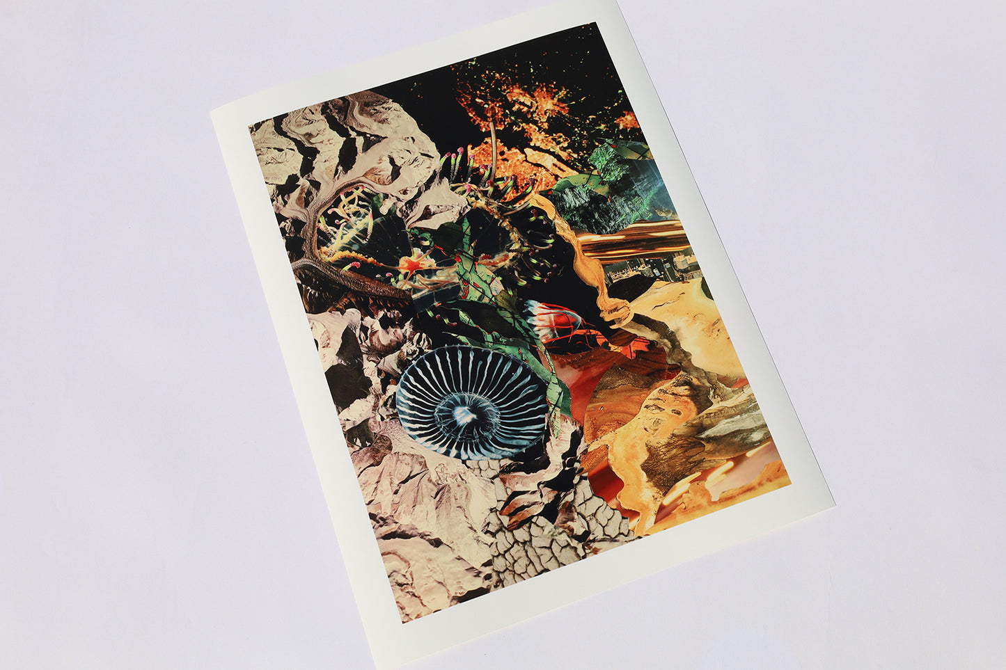 Art Prints