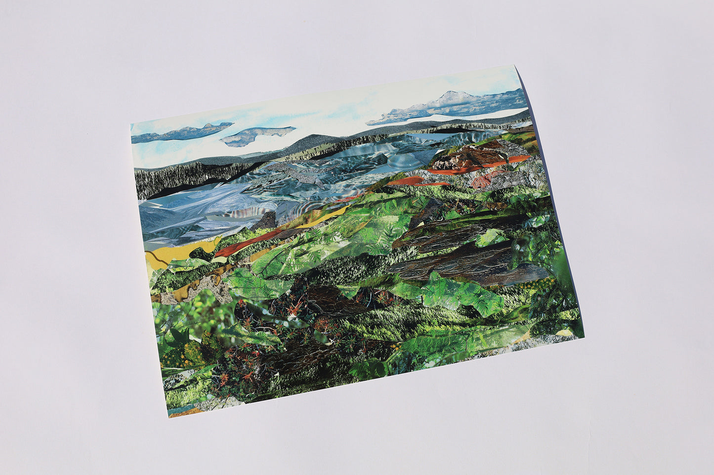 Art Prints