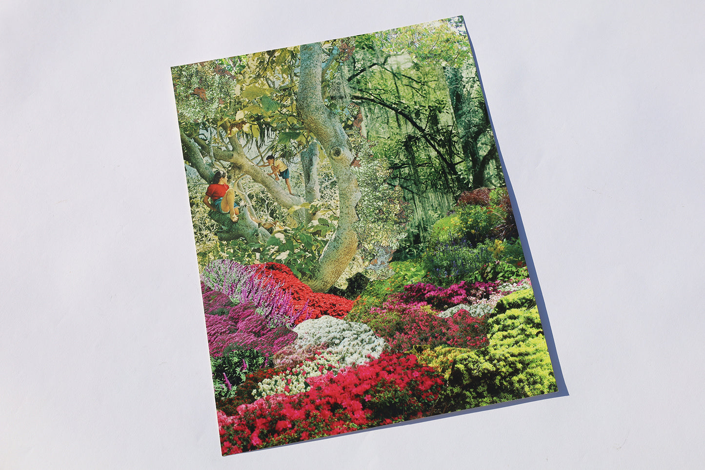 Art Prints