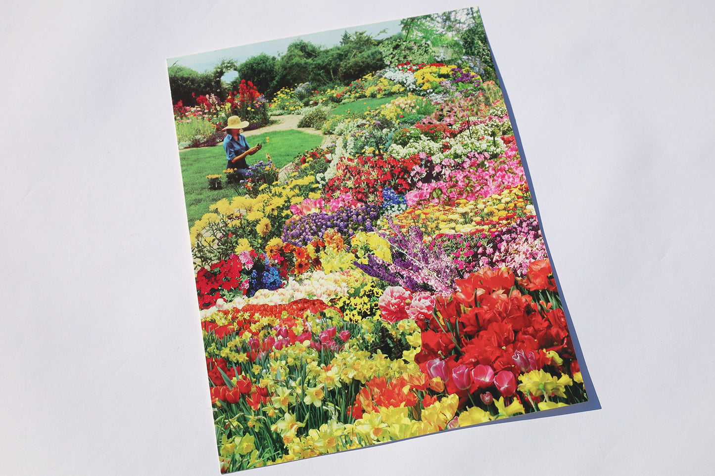 Art Prints
