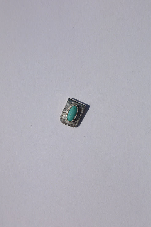 Kingman Turquoise Brim Slider