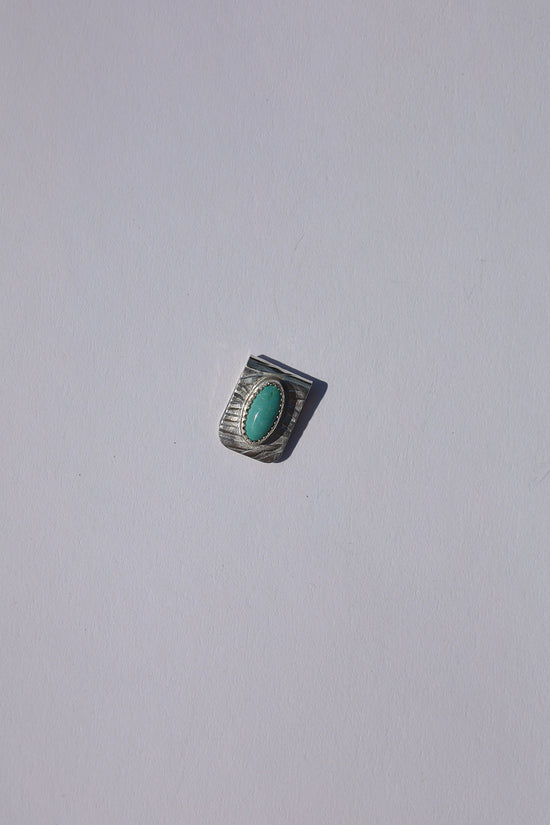 Kingman Turquoise Brim Slider