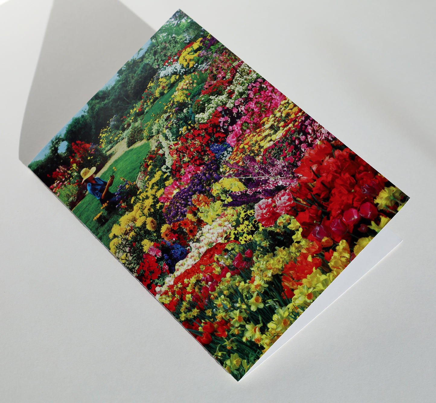 Collage Greeting Cards